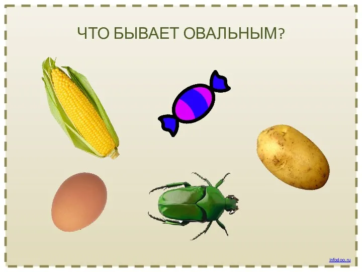 ЧТО БЫВАЕТ ОВАЛЬНЫМ? Infodoo.ru