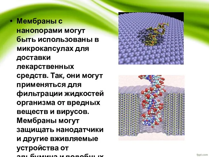 Мембраны с нанопорами могут быть использованы в микрокапсулах для доставки