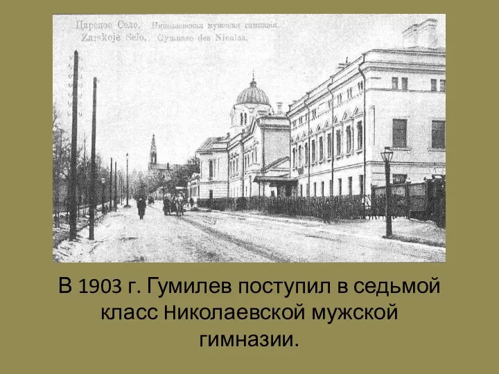 В 1903 г. Гумилев поступил в седьмой класс Hиколаевской мужской гимназии.