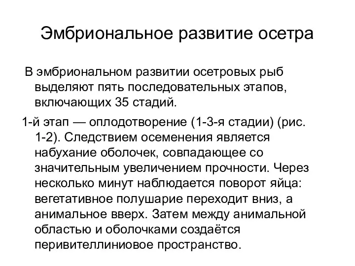 Эмбриональное развитие осетра В эмбриональном развитии осетровых рыб выделяют пять