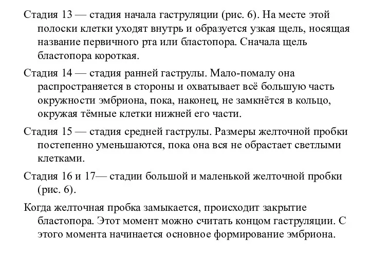 Стадия 13 — стадия начала гаструляции (рис. 6). На месте