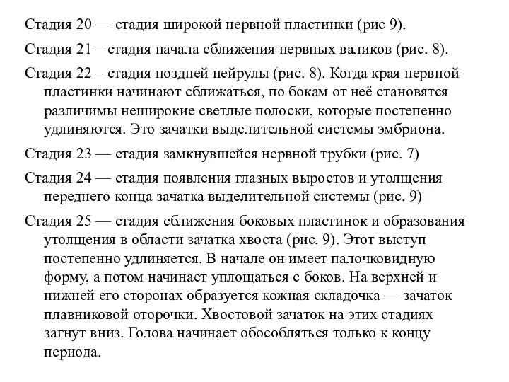 Стадия 20 — стадия широкой нервной пластинки (рис 9). Стадия