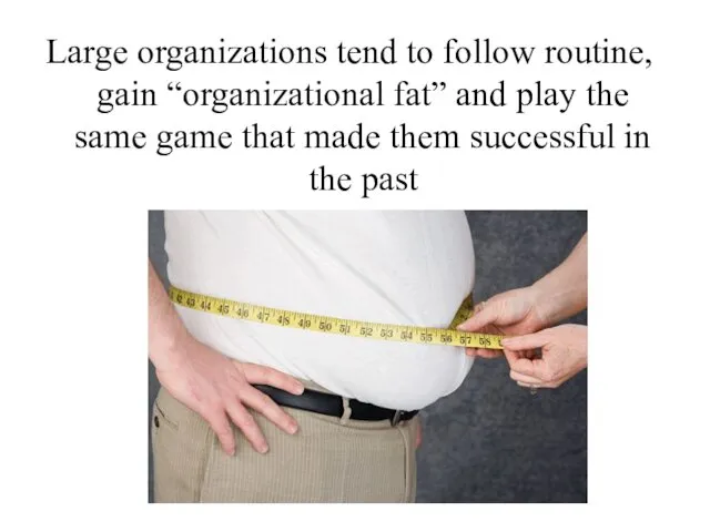 Large organizations tend to follow routine, gain “organizational fat” and