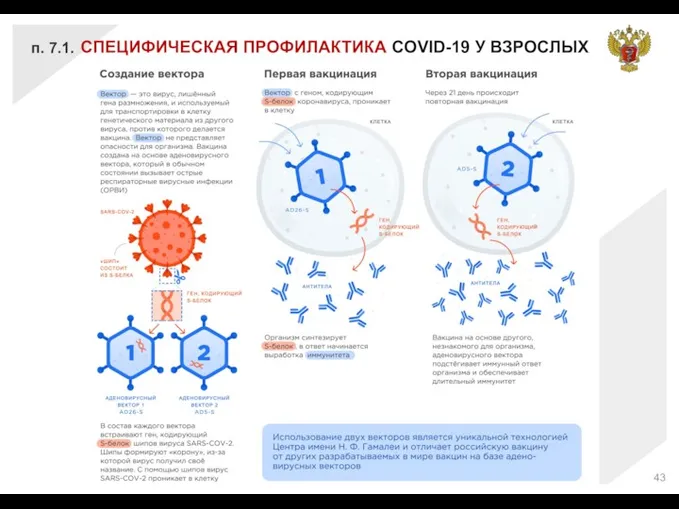 СПЕЦИФИЧЕСКАЯ ПРОФИЛАКТИКА COVID-19 У ВЗРОСЛЫХ п. 7.1.