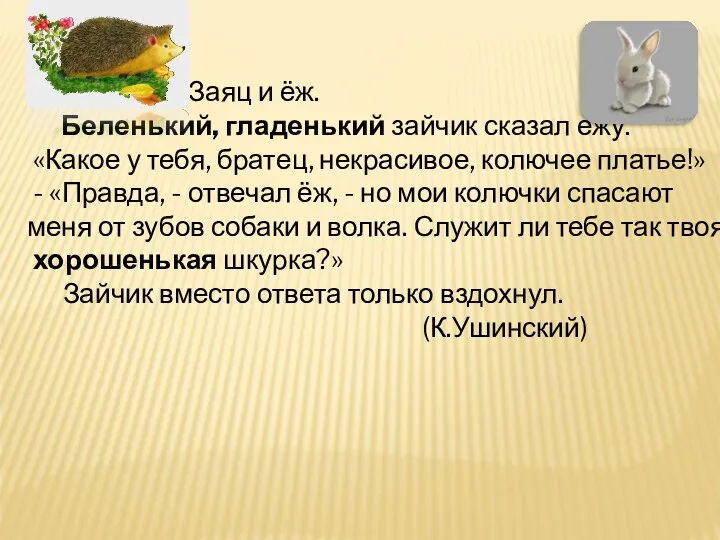 Заяц и ёж. Беленький, гладенький зайчик сказал ежу: «Какое у