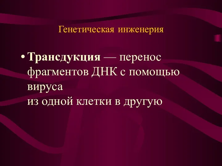 Генетическая инженерия Трансдукция — перенос фрагментов ДНК с помощью вируса из одной клетки в другую