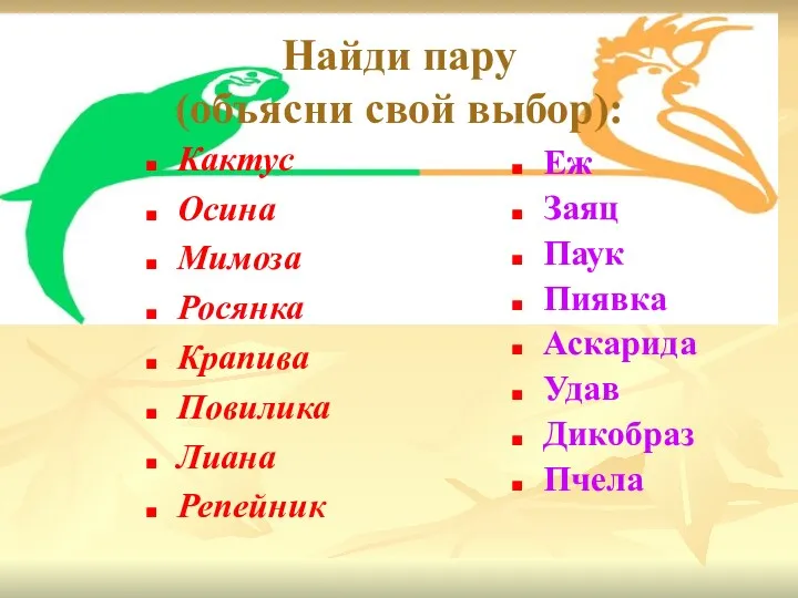 Найди пару (объясни свой выбор): Кактус Осина Мимоза Росянка Крапива