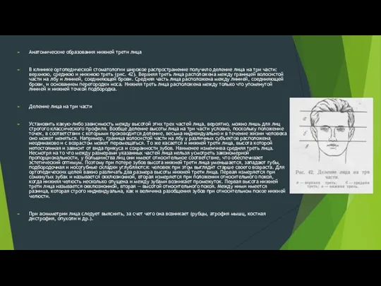 Анатомические образования нижней трети лица В клинике ортопедической стоматологии широкое
