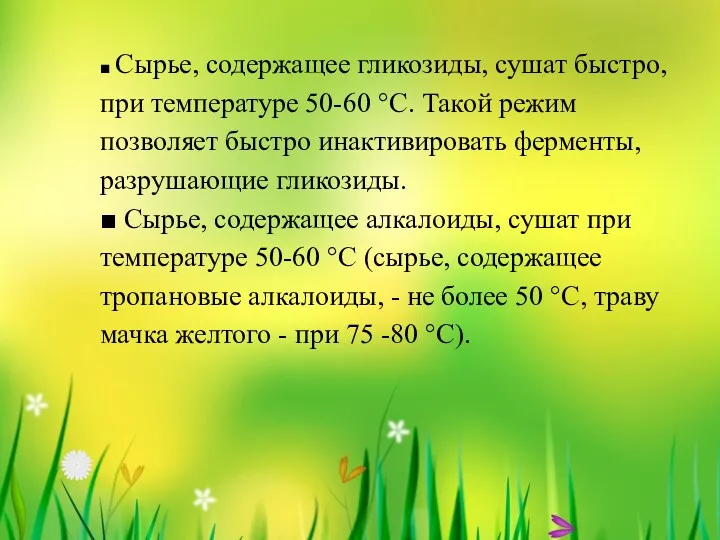 ■ Сырье, содержащее гликозиды, сушат быстро, при температуре 50-60 °С.