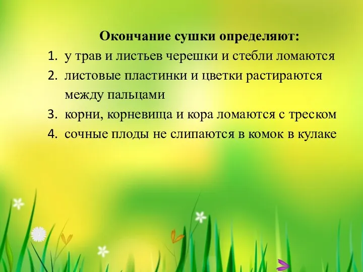 Окончание сушки определяют: у трав и листьев черешки и стебли