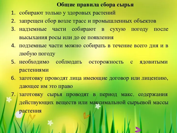 Общие правила сбора сырья собирают только у здоровых растений запрещен