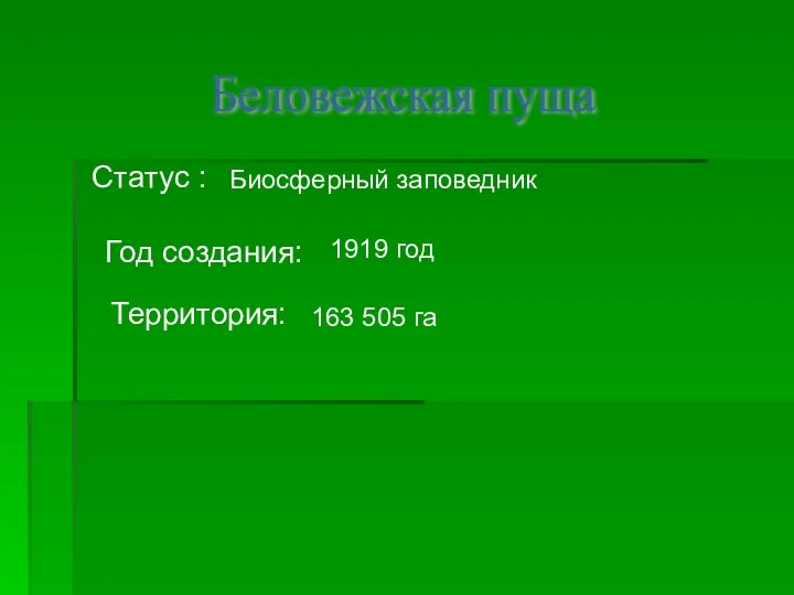 Беловежская пуща Статус : Биосферный заповедник Год создания: 1919 год Территория: 163 505 га