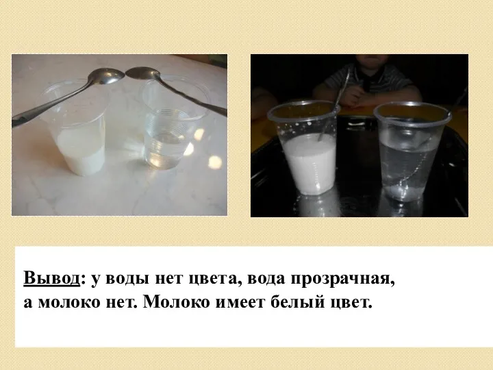 Вывод: у воды нет цвета, вода прозрачная, а молоко нет. Молоко имеет белый цвет.