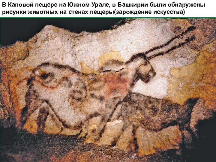В Каповой пещере на Южном Урале, в Башкирии были обнаружены рисунки животных на стенах пещеры(зарождение искусства)