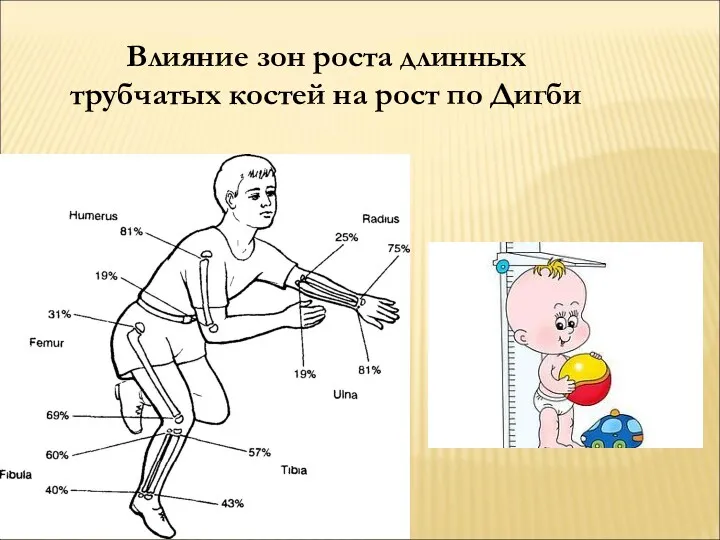 Влияние зон роста длинных трубчатых костей на рост по Дигби