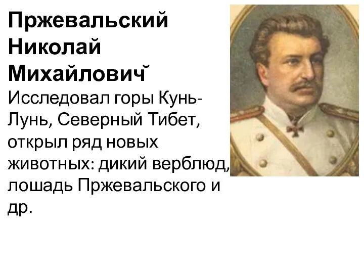 Пржевальский Николай Михайлович̆ Исследовал горы Кунь-Лунь, Северный Тибет, открыл ряд