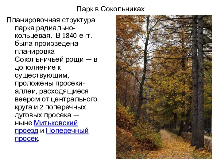 Парк в Сокольниках Планировочная структура парка радиально-кольцевая. В 1840-е гг.