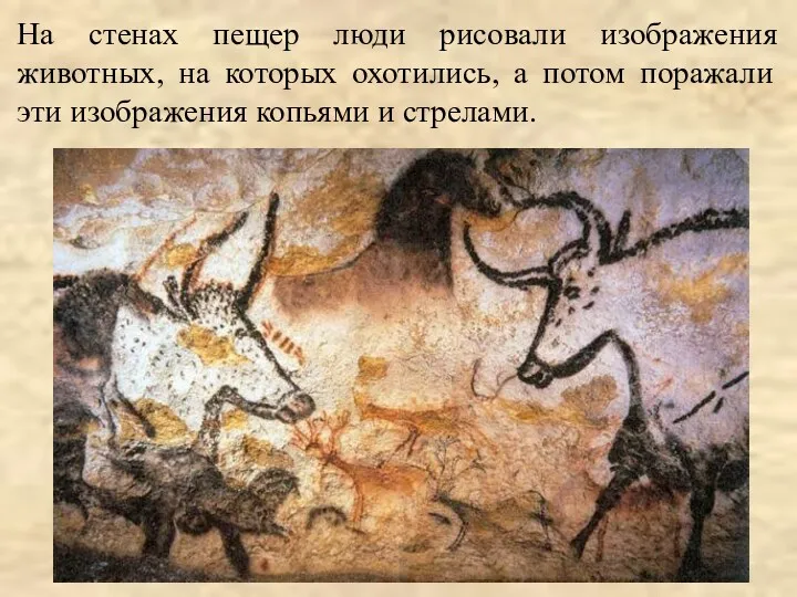 На стенах пещер люди рисовали изображения животных, на которых охотились,