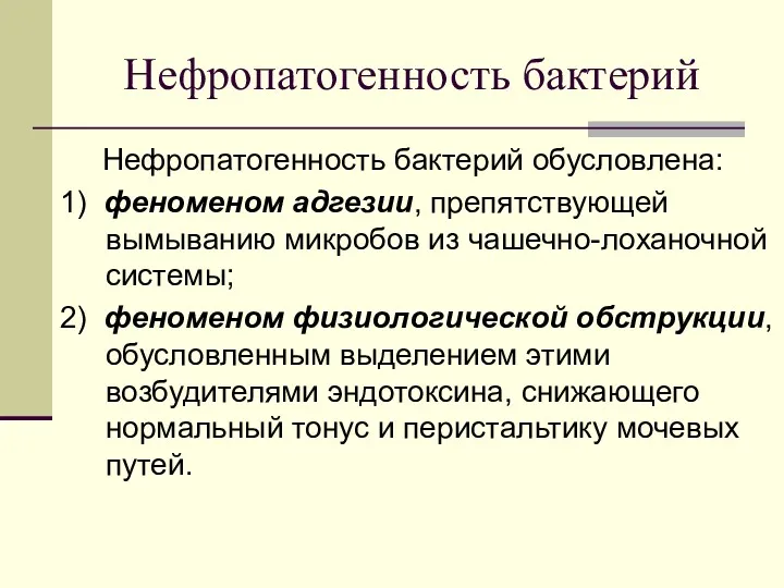 Нефропатогенность бактерий Нефропатогенность бактерий обусловлена: 1) феноменом адгезии, препятствующей вымыванию