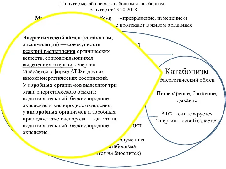 Понятие метаболизма: анаболизм и катаболизм. Занятие от 23.20.2018 Метаболи́зм (от