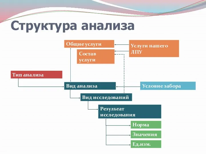 Структура анализа