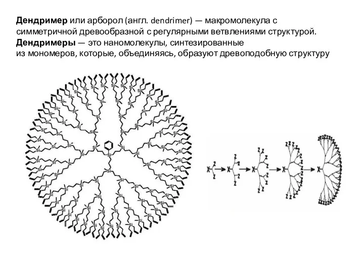 Дендример или арборол (англ. dendrimer) — макромолекула с симметричной древообразной с регулярными ветвлениями