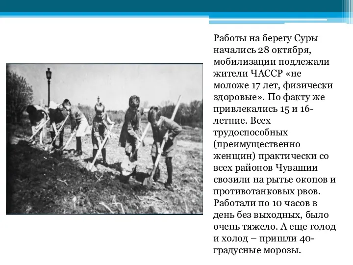 Работы на берегу Суры начались 28 октября, мобилизации подлежали жители