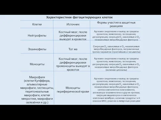 Характеристики фагоцитирующих клеток