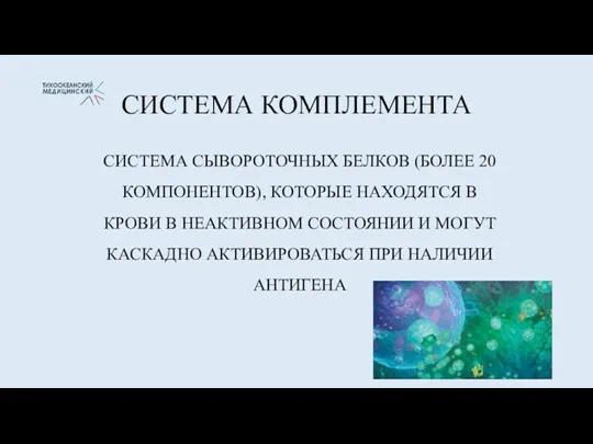 СИСТЕМА КОМПЛЕМЕНТА СИСТЕМА СЫВОРОТОЧНЫХ БЕЛКОВ (БОЛЕЕ 20 КОМПОНЕНТОВ), КОТОРЫЕ НАХОДЯТСЯ