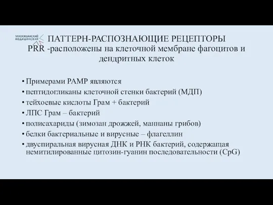 ПАТТЕРН-РАСПОЗНАЮЩИЕ РЕЦЕПТОРЫ PRR -расположены на клеточной мембране фагоцитов и дендритных