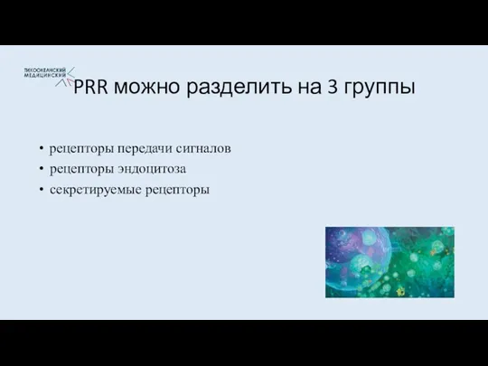 PRR можно разделить на 3 группы рецепторы передачи сигналов рецепторы эндоцитоза секретируемые рецепторы