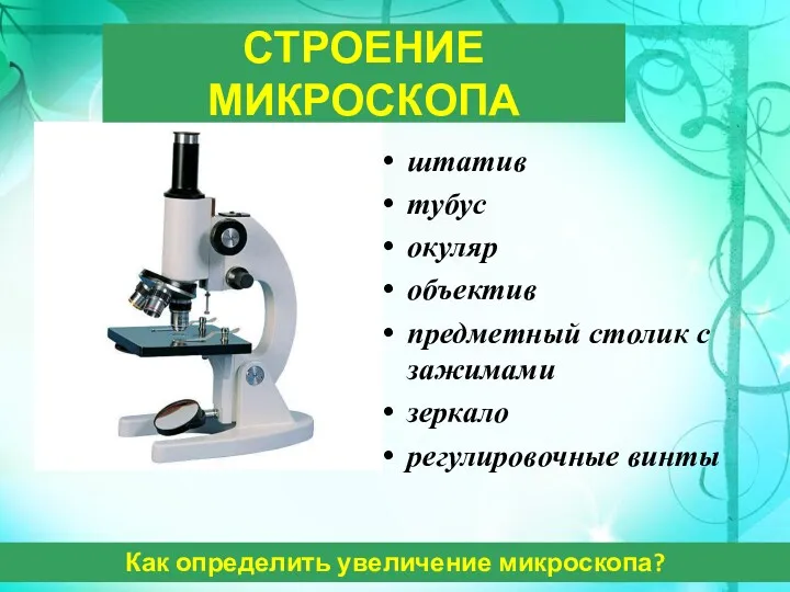 СТРОЕНИЕ МИКРОСКОПА штатив тубус окуляр объектив предметный столик с зажимами