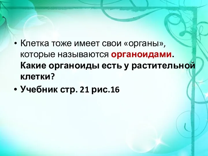 Клетка тоже имеет свои «органы», которые называются органоидами. Какие органоиды