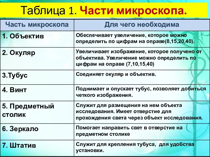 Таблица 1. Части микроскопа.