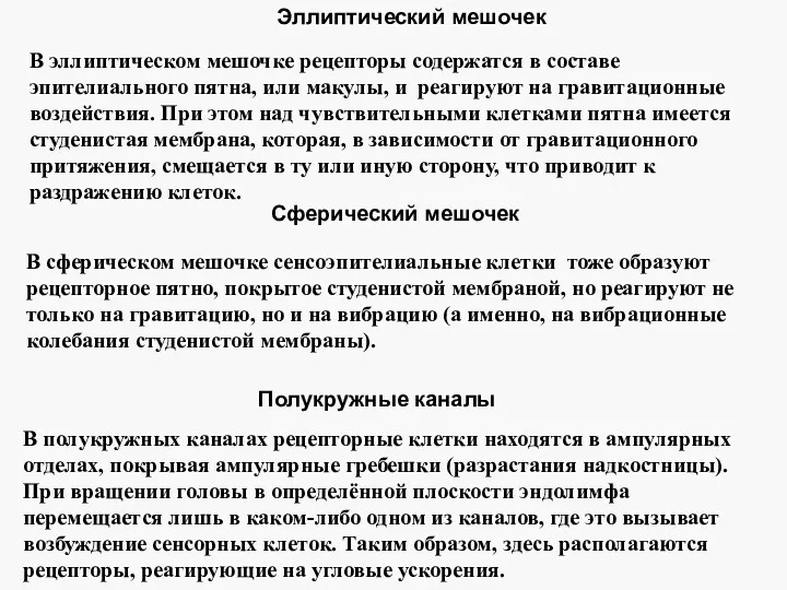 Эллиптический мешочек В эллиптическом мешочке рецепторы содержатся в составе эпителиального