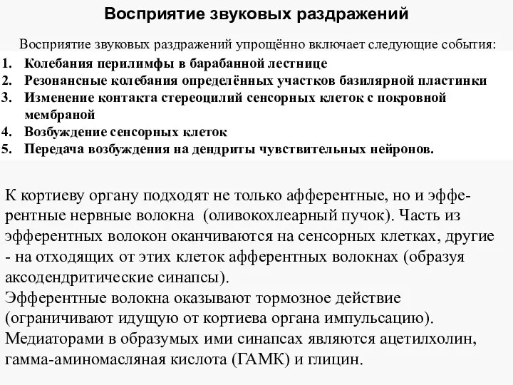 Восприятие звуковых раздражений Восприятие звуковых раздражений упрощённо включает следующие события: