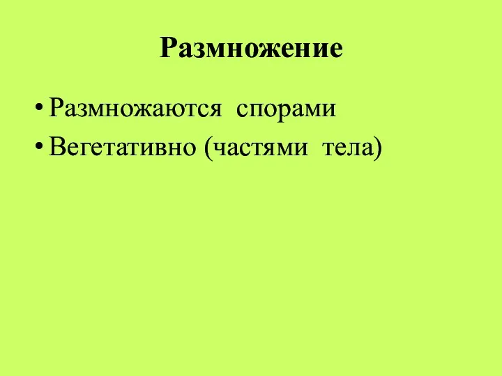 Размножение Размножаются спорами Вегетативно (частями тела)