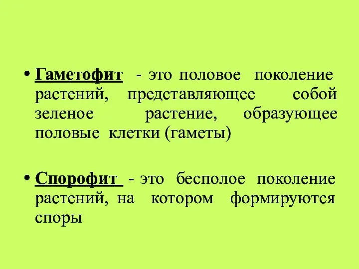 Гаметофит - это половое поколение растений, представляющее собой зеленое растение,