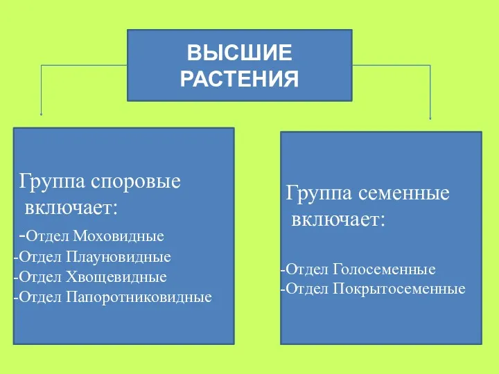 ВЫСШИЕ РАСТЕНИЯ Группа споровые включает: -Отдел Моховидные Отдел Плауновидные Отдел