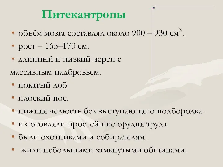 объём мозга составлял около 900 – 930 см3. рост –