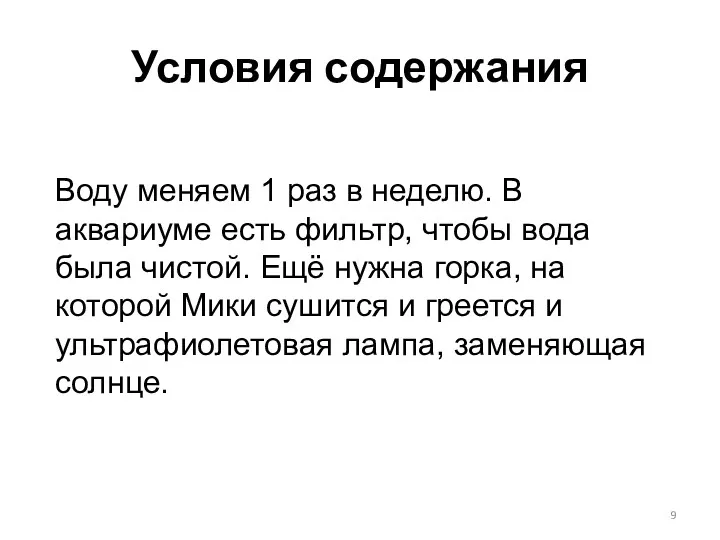 Условия содержания Воду меняем 1 раз в неделю. В аквариуме