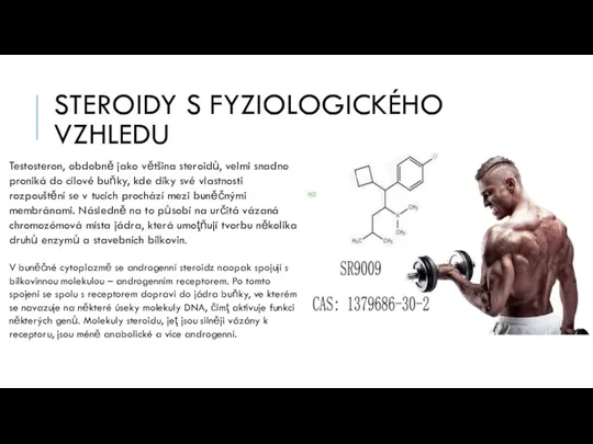 STEROIDY S FYZIOLOGICKÉHO VZHLEDU Testosteron, obdobně jako většina steroidů, velmi