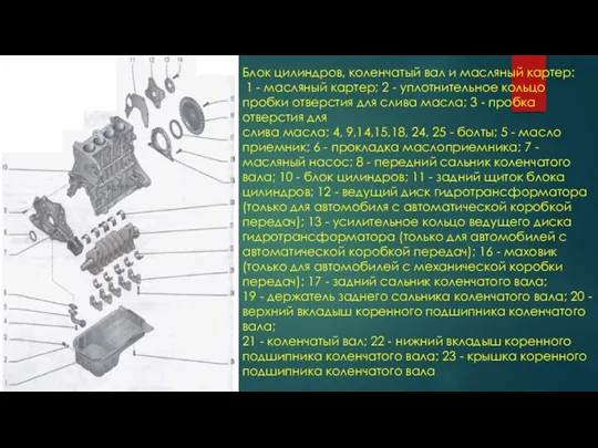 Блок цилиндров, коленчатый вал и масляный картер: 1 - масляный