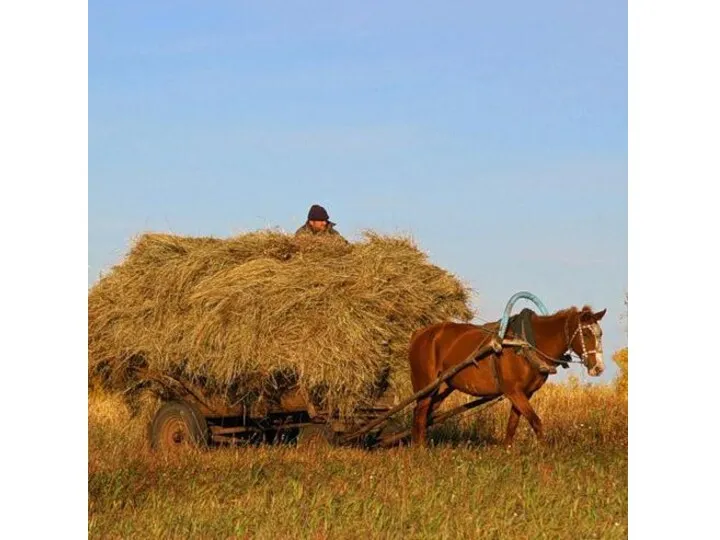 Изучаем буквы. Буква З