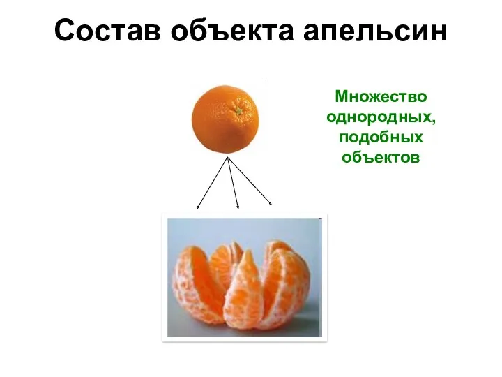 Состав объекта апельсин Множество однородных, подобных объектов