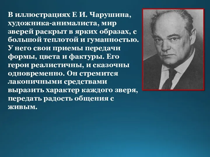 В иллюстрациях Е И. Чарушина, художника-анималиста, мир зверей раскрыт в