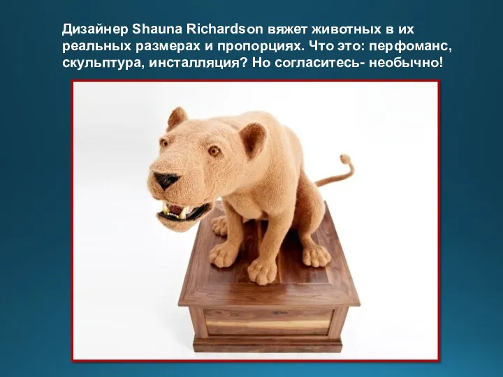 Дизайнер Shauna Richardson вяжет животных в их реальных размерах и