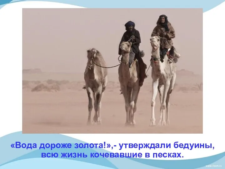 «Вода дороже золота!»,- утверждали бедуины, всю жизнь кочевавшие в песках.