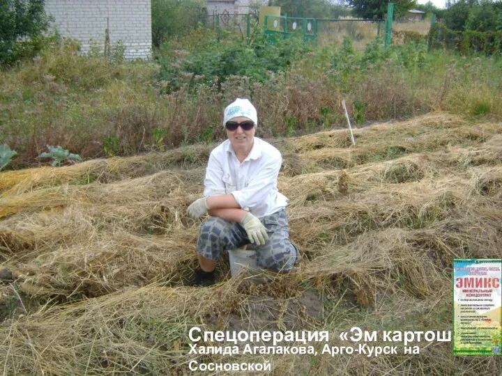 Халида Агалакова, Арго-Курск на Сосновской Спецоперация «Эм картошка»
