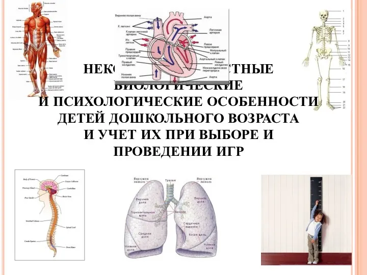 НЕКОТОРЫЕ ВОЗРАСТНЫЕ БИОЛОГИЧЕСКИЕ И ПСИХОЛОГИЧЕСКИЕ ОСОБЕННОСТИ ДЕТЕЙ ДОШКОЛЬНОГО ВОЗРАСТА И